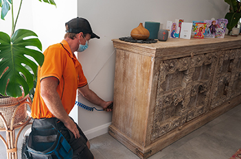 Pest inspection gold coast