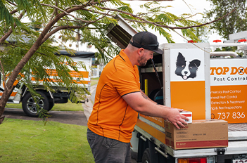 gold coast pest control