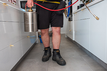 gold coast pest control