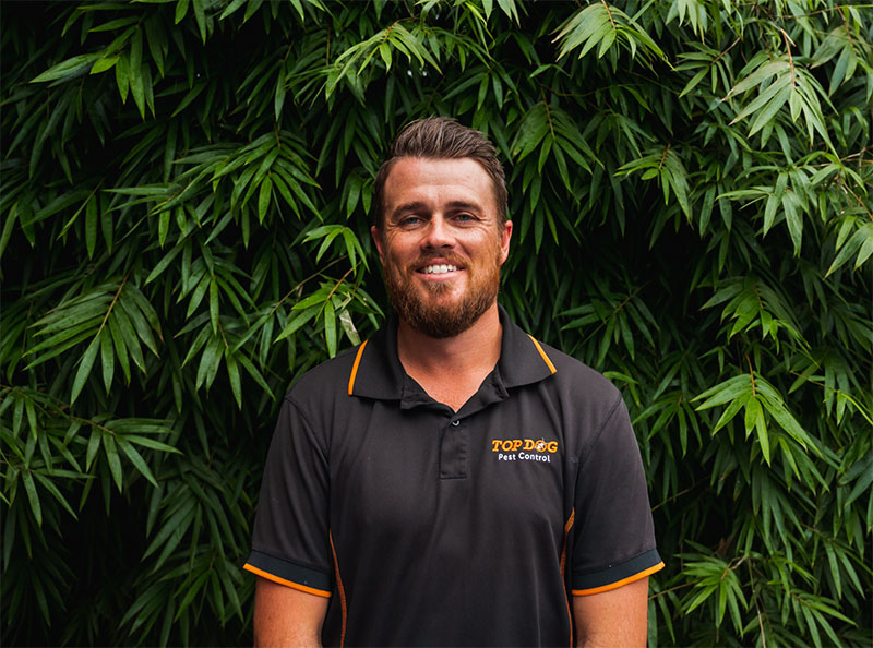 Pest control Gold Coast