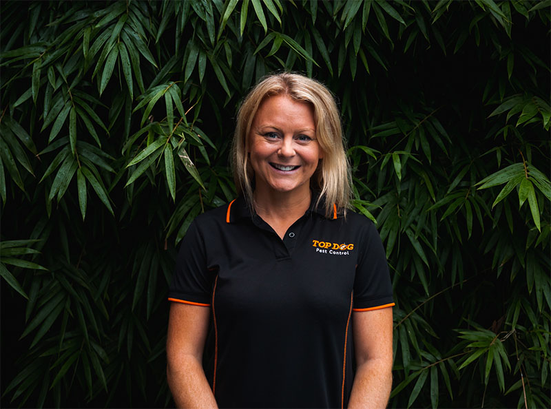 Pest control Gold Coast