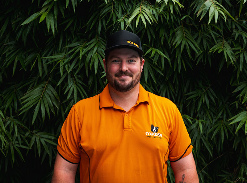 Pest control Gold Coast