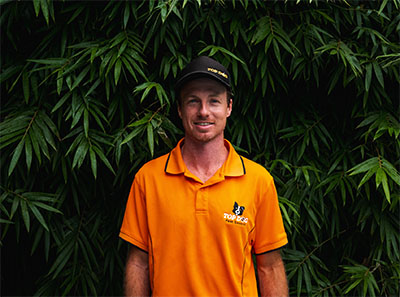 Pest control Gold Coast