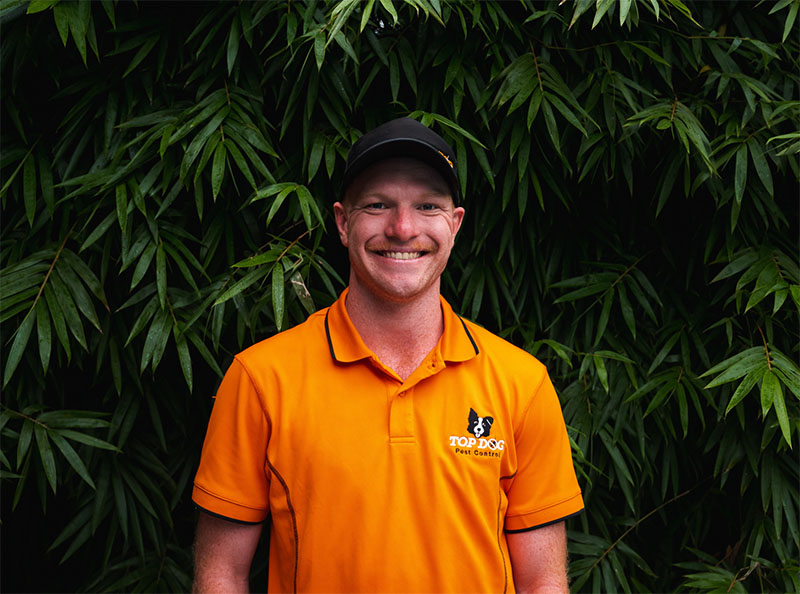 Pest control Gold Coast