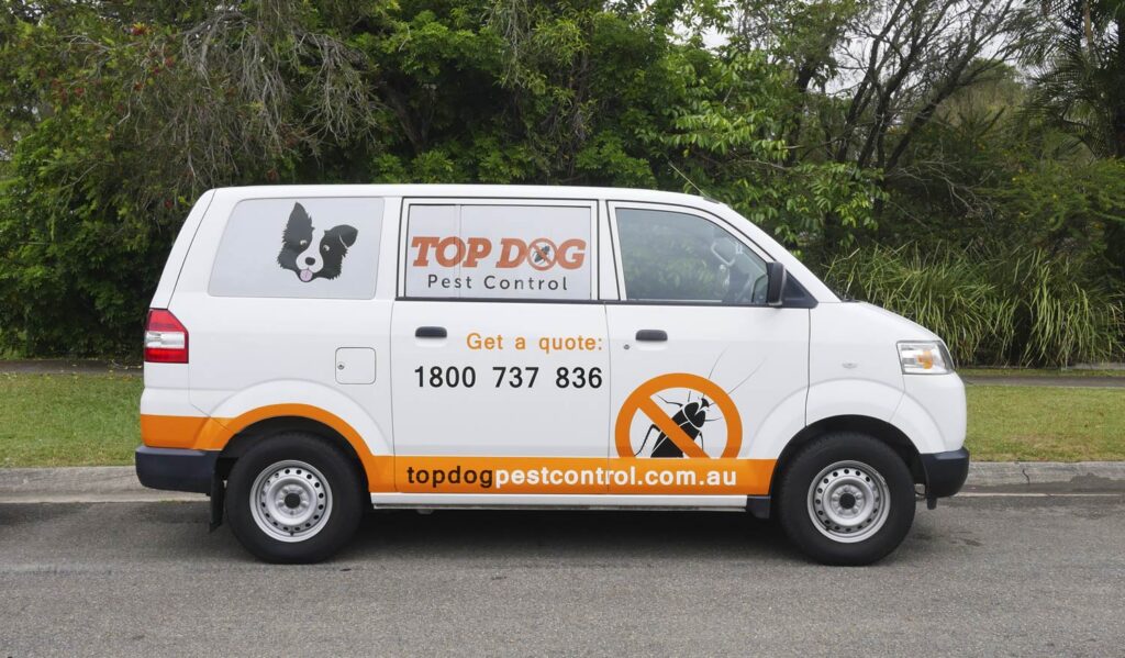 Mosquito Pest Control Gold Coast