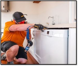 Pest Control Gold Coast