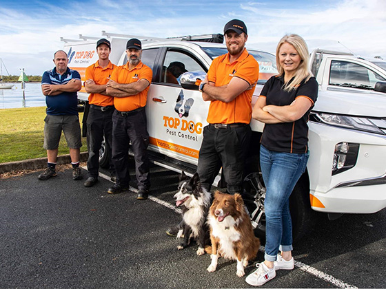 pest control gold coast
